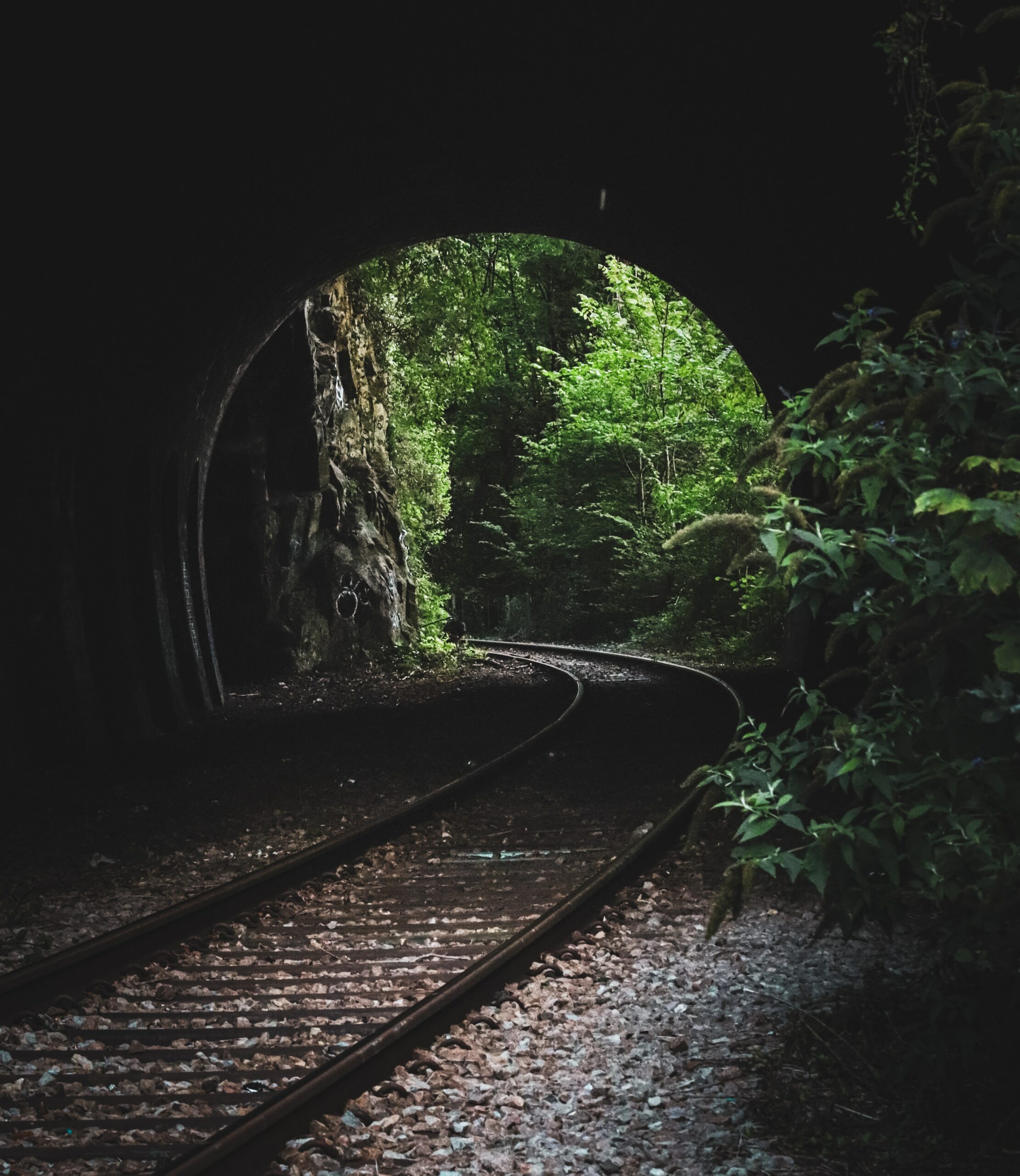 Saída de túnel ferroviário cercado por vegetação verde densa, com trilhos de trem curvando-se suavemente em direção a uma floresta iluminada pela luz natural.