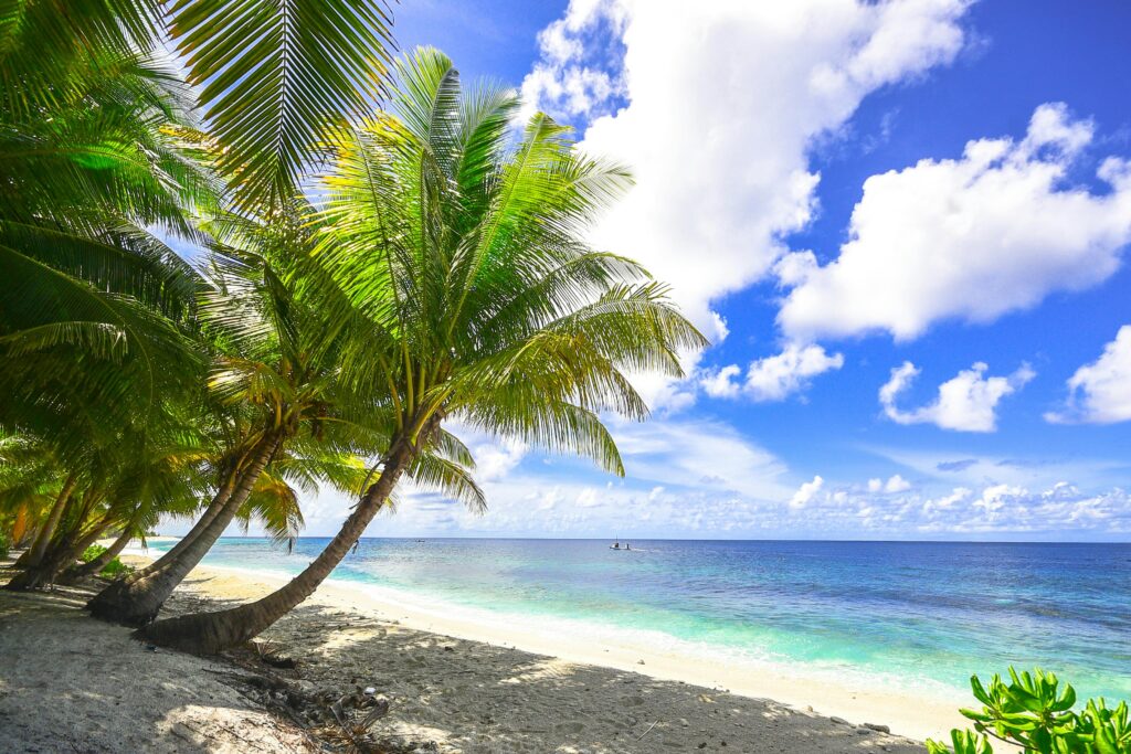 Praia tropical com coqueiros inclinados e mar azul cristalino simbolizando liberdade e descanso ao sonhar com ilha.