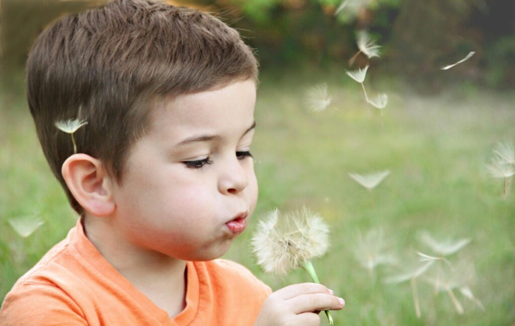 Menino soprando flor de dente-de-leão em um campo verde.
