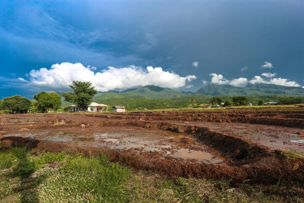 Campo agrícola encharcado e coberto de lama com casas ao fundo, simbolizando dificuldades financeiras e trabalho árduo nos sonhos.
