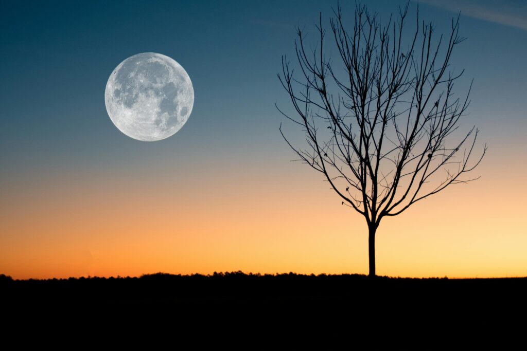 Lua cheia surgindo no horizonte ao lado de uma árvore seca durante o entardecer, simbolizando reflexão e mudanças nos sonhos.