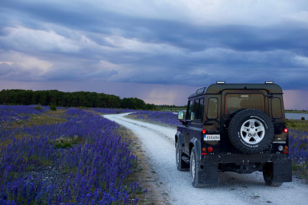 carro percorrendo uma estrada florida sob um céu nublado, simbolizando uma jornada de mudanças