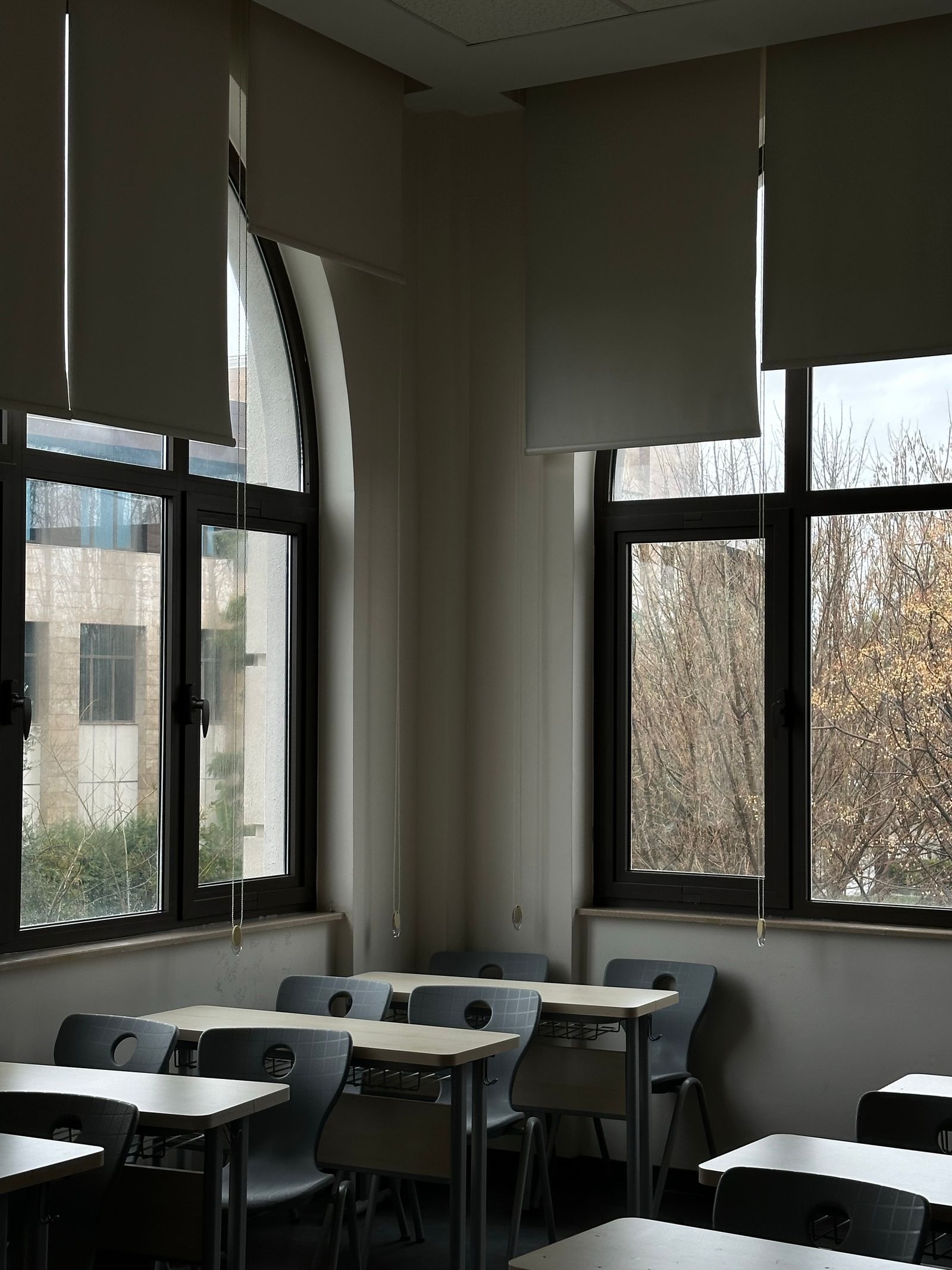 https://sonharcomcobra.com/wp-content/uploads/2026/07/sonhar-com-escola-1.jpg